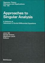 Approaches To Singular Analysis