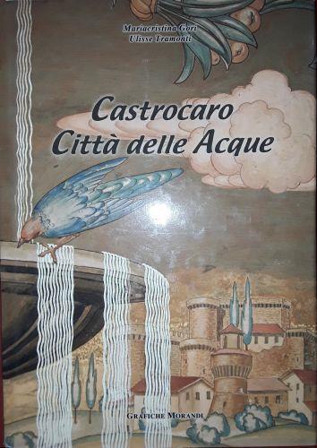 Castrocaro. Città delle acque - Mariacristina Gori - copertina