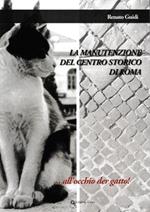 La manutenzione del centro storico di Roma...all'occhio der gatto!