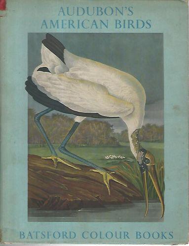 Audubon's american birds - copertina