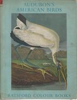 Audubon's american birds