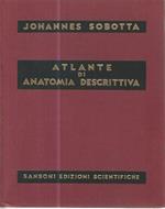 Atlante di anatomia descrittiva II