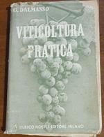 Viticultura Moderna