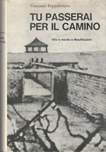 Tu passerai per il camino. Vita e morte a Mauthausen