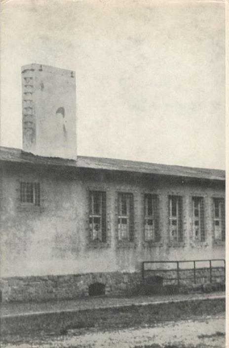 Tu passerai per il camino. Vita e morte a Mauthausen - Vincenzo Pappalettera - 2