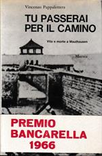 Tu passerai per il camino