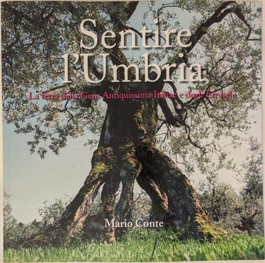 Sentire l'Umbria - Mario Conte - copertina