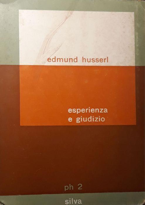 Esperienza e giudizio - Edmund Husserl - copertina