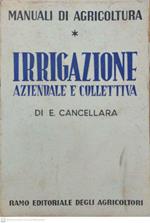 Irrigazione aziendale e collettiva