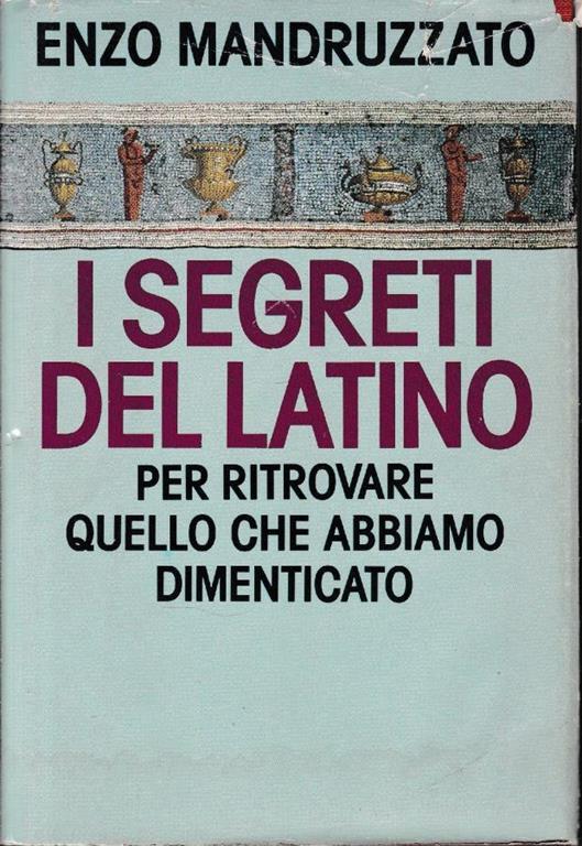 I  segreti del Latino - Enzo Mandruzzato - copertina