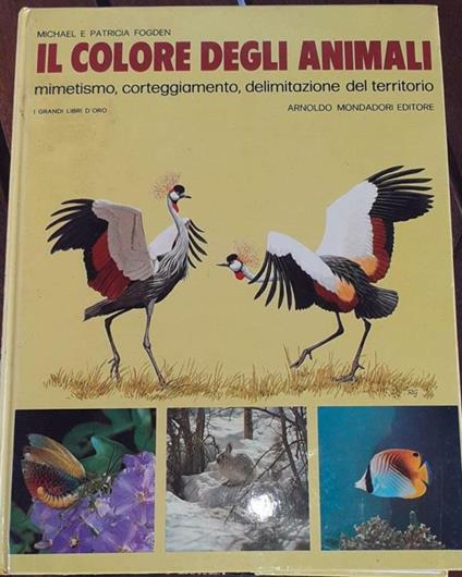 Il colore degli animali mimetismo, corteggiamento, delimitazione del territorio - Michael - copertina