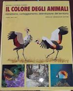 Il colore degli animali mimetismo, corteggiamento, delimitazione del territorio