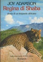 Regina di Shaba. Storia di un leopardo africano