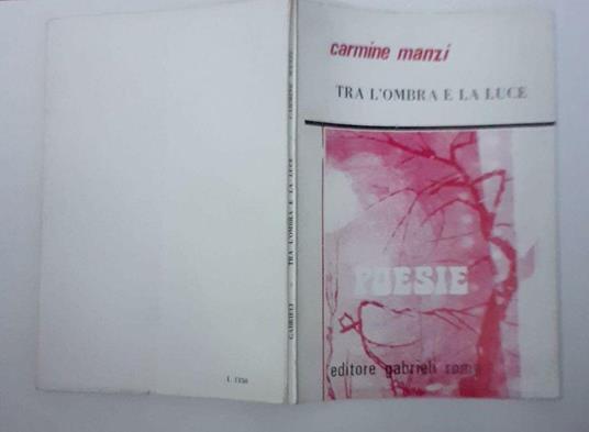 Tra l'ombra e la luce - Carmine Manzi - copertina