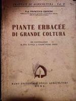 Piante erbacee di grande coltura