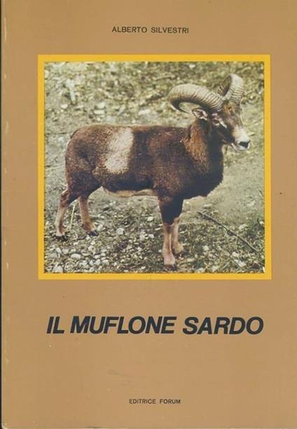 Il muflone sardo - Alberto Silvestri - copertina