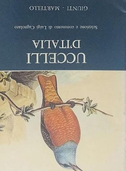 Uccelli d'Italia. Passeriformi, Piciformi, Coraciformi, Apodiformi, Caprimulgiformi, Strigiformi, Cuculiformi - Luigi Cagnolaro - copertina