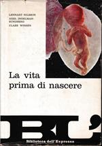 La vita prima di nascere