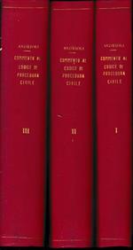 Commento al Codice di Procedura Civile, tre volumi