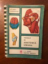 Tavole di anatomia umana - copertina