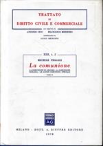 Trattato di diritto civile e commerciale, vol. 13/2: La comunione