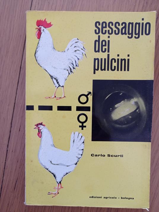 Sessaggio dei pulcini - Carlo Scurti - copertina