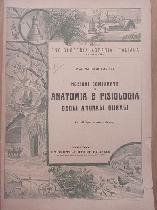 Nozioni comparate di anatomia e fisiologia degli animali rurali - Narciso Favilli - copertina