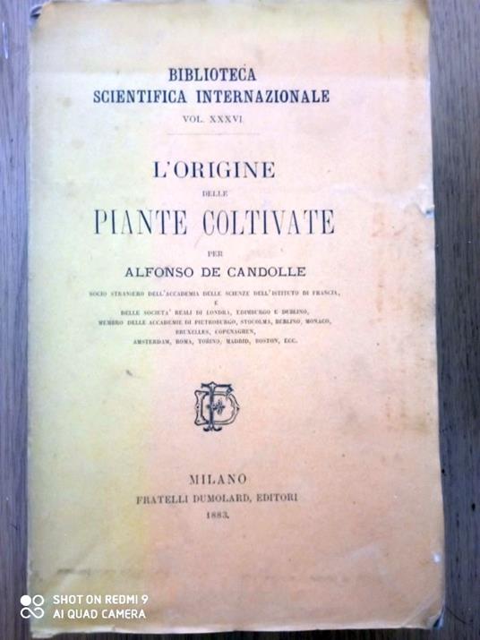 L' origine delle painte coltivate - copertina