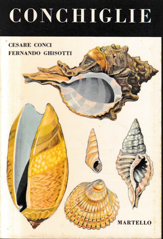 Conchiglie - Cesare Conci - copertina