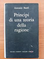 Principi di una teoria della ragione