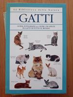 Gatti