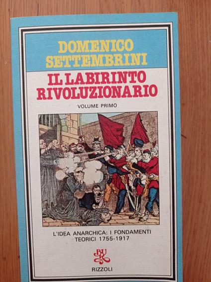 Il labirinto rivoluzionario - Domenico Settembrini - copertina