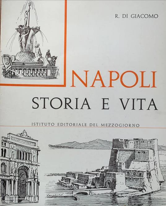 Napoli. Storia e vita - copertina