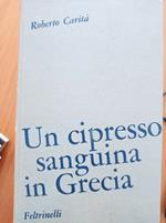 Un cipresso sanguina in Grecia