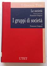 Le società. I gruppi di società