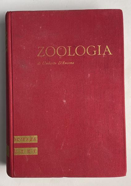 Trattato di zoologia - Umberto D'Ancona - copertina