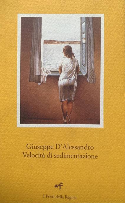 Velocità di sedimentazione - Giuseppe D'Alessandro - copertina