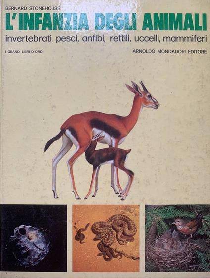 L' infanzia degli animali invertebrati, pesci, anfibi, rettili, uccelli, mammiferi - Bernard Stonehouse - copertina