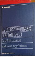 Il metabolismo terminale. Basi biochimiche della sua regolazione