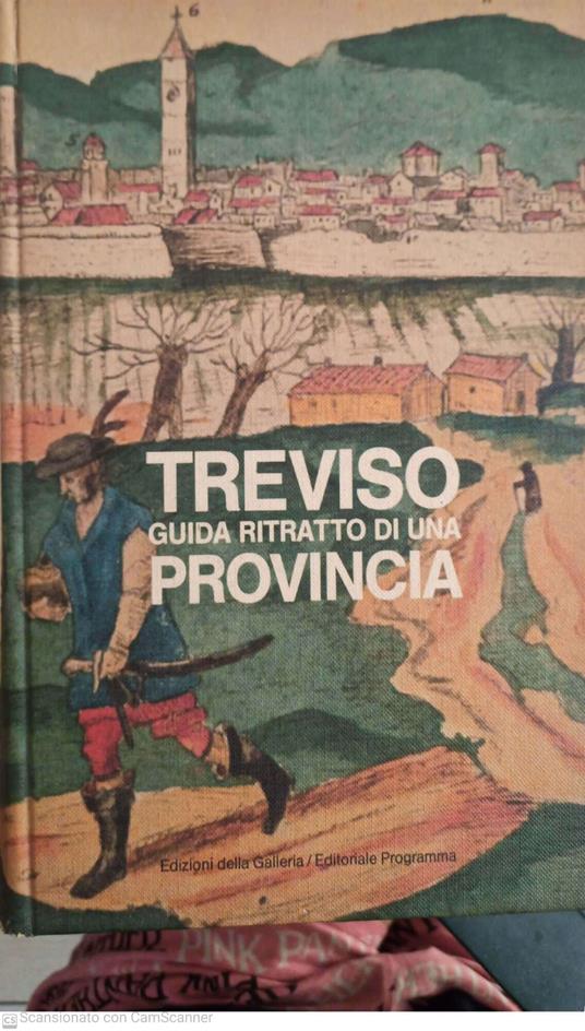 Treviso guida ritratto di una provincia - copertina