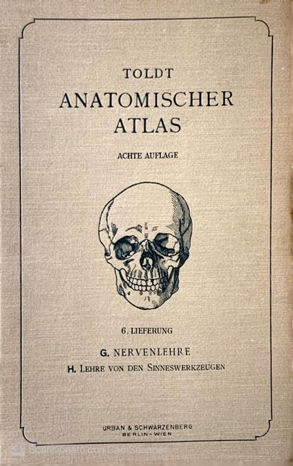 Anatomischer Atlas fur studierende und Ärzte. Neurologia Nervenlehre. Vol. 6 - copertina