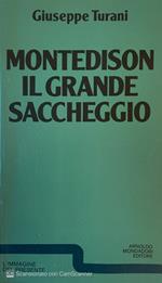 Montedison il grande saccheggio