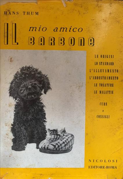 Il mio amico barbone - Hans Thum - copertina