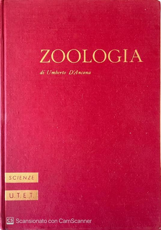 Trattato di zoologia - Umberto D'Ancona - copertina