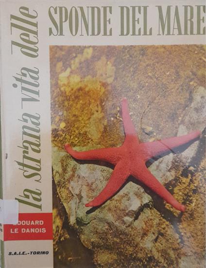 La strana vita delle sponde del mare - copertina