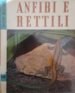 Anfibi e rettili