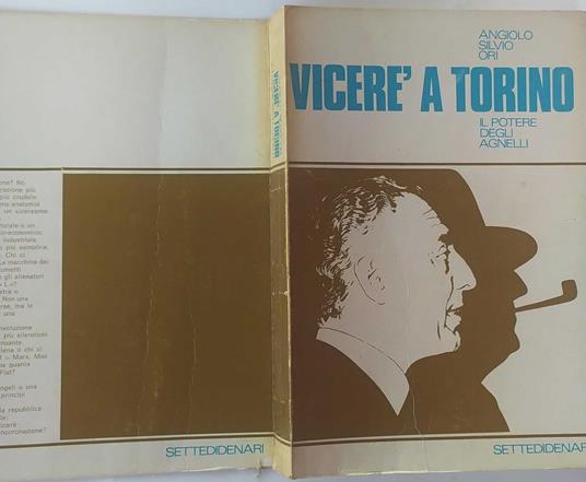 Vicerè a Torino. Il potere degli agnelli - Angiolo S. Ori - copertina