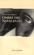 Ombre del Novecento