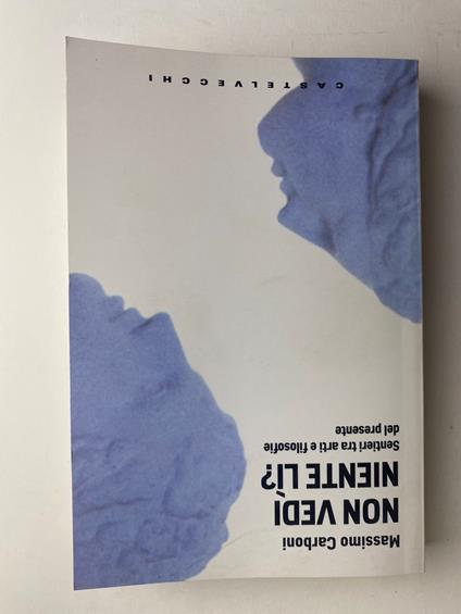 Non vedi niente lì? Sentieri tra arti e filosofie del presente - Massimo Carboni - copertina