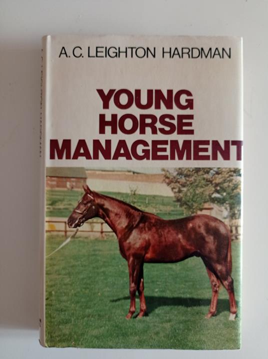 Young Horse Management - copertina